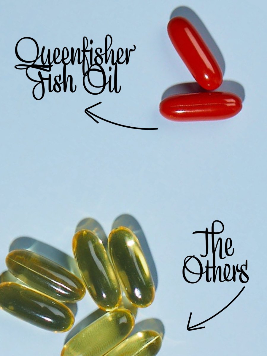 Queenfisher Omega-3 Fish Oil Supplements for Women - High DHA & EPA for Fertility, Pregnancy, Lactation, and Menopause Support - Sustainably Sourced, Enhanced Absorption - 60 Softgels - The Ladybird Company fertility menopause breastfeeding nursing premenopause perimenopause
